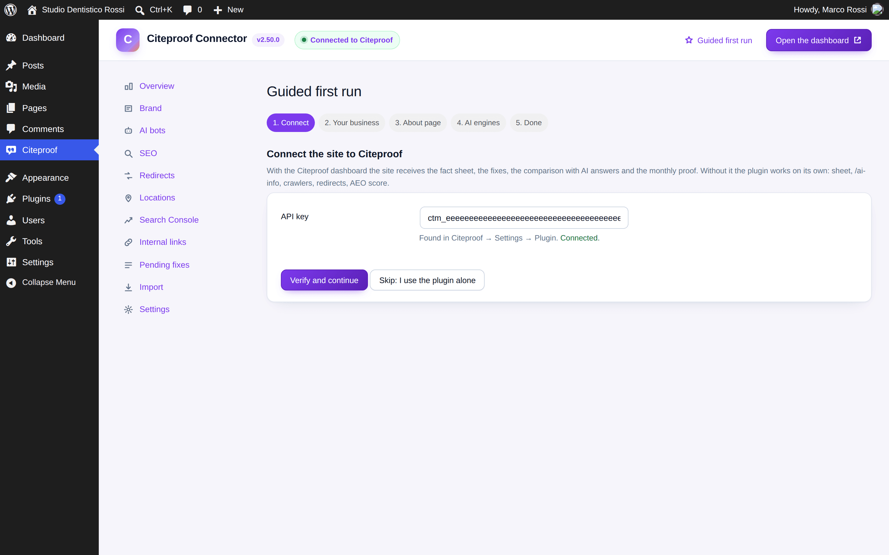The plugin's guided first run: the Connect step with the API key